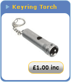 Keyring torch